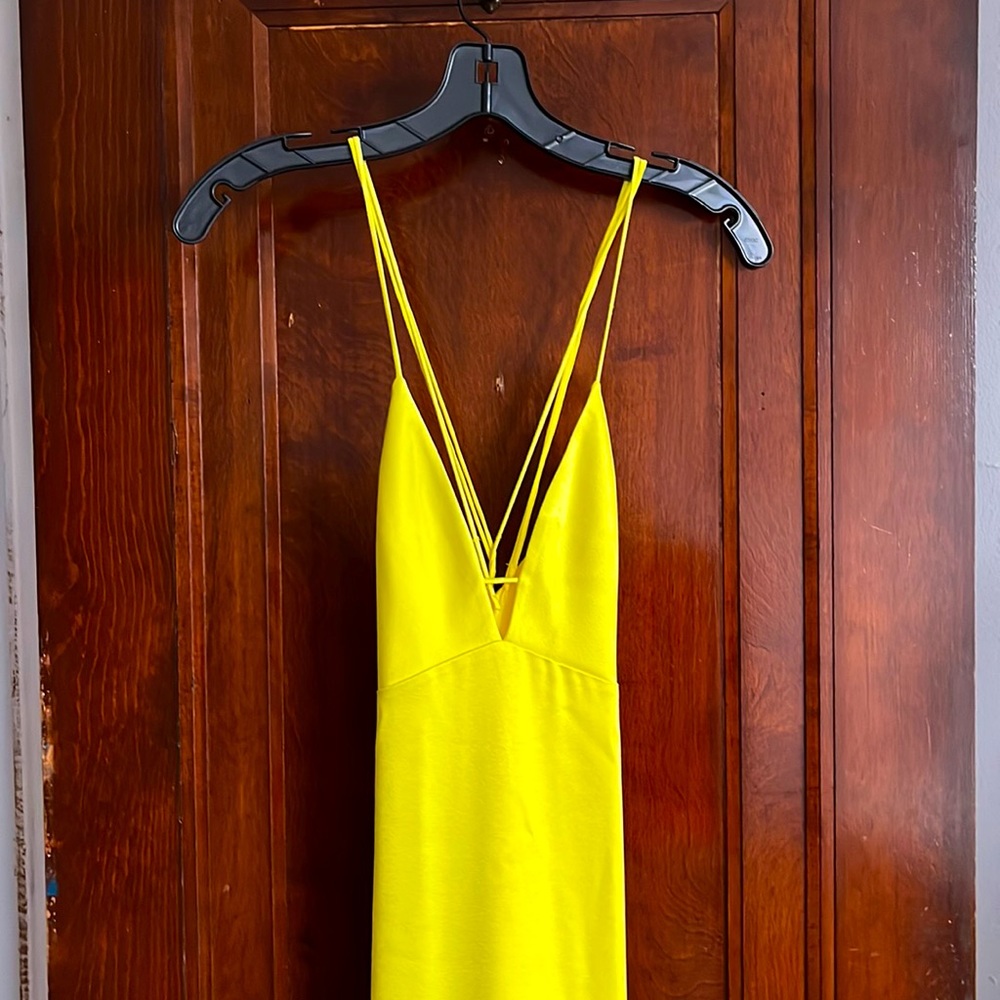 Alice & Olivia Dakota slip gown, brand new never worn!